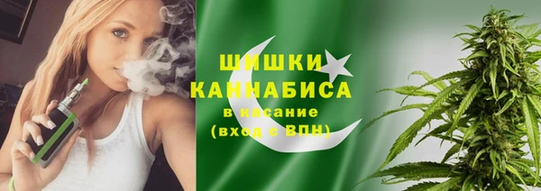 шишки Аркадак