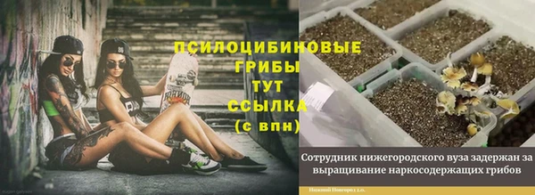 МДМА Арсеньев