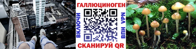 что такое наркотик Рассказово Галлюциногенные грибы GOLDEN TEACHER